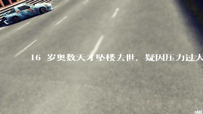 16 岁奥数天才坠楼去世，疑因压力过大，父母该从哪些方面关注孩子心理健康？可以怎样引导孩子释放压力？